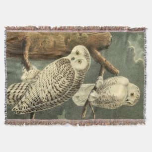 Couverture OEuvre d'OEuf Audubon