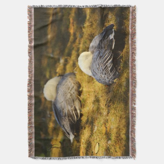 Couverture Oies des neiges mignonnes rêvant au soleil d'été (devant Vertical)