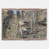 Couverture Oies sauvages Blanche (Devant)