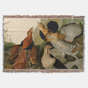 Couverture Oiseau de gibier Audubon