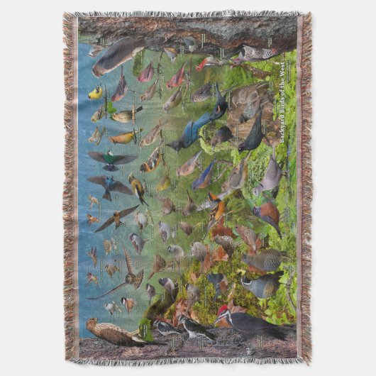 Couverture Oiseaux de jardin de l'ouest (devant Vertical)