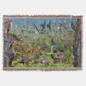 Couverture Oiseaux de jardin de l'ouest (Devant)