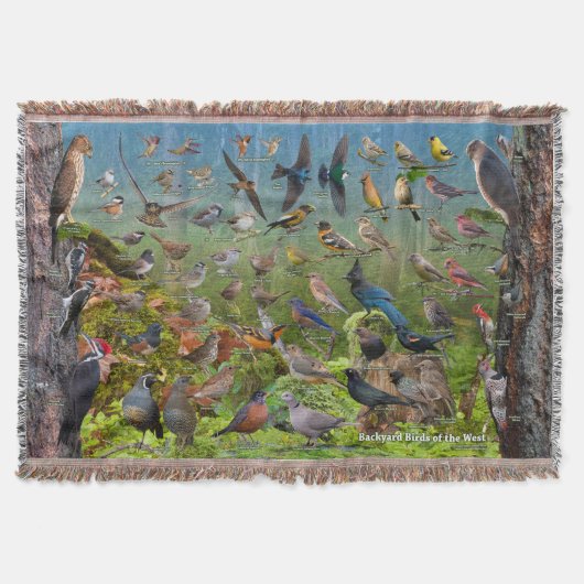 Couverture Oiseaux de jardin de l'ouest (Devant)