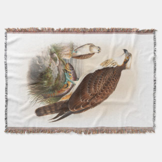 Couverture Oiseaux de John Gould de faucon de mer de
