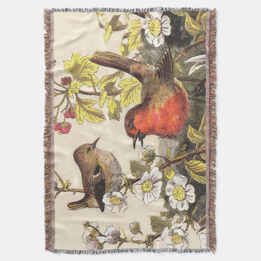 Couverture Oiseaux de printemps Robin Oiseaux rouges (devant Vertical)