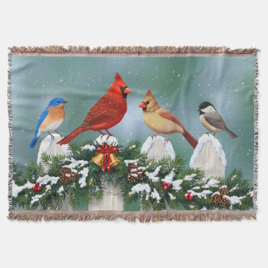 Couverture Oiseaux de vacances et Garland de Noël (Devant)