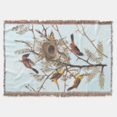 Couverture Oiseaux d'oriole du verger d'Audubon dans un criqu (Devant)
