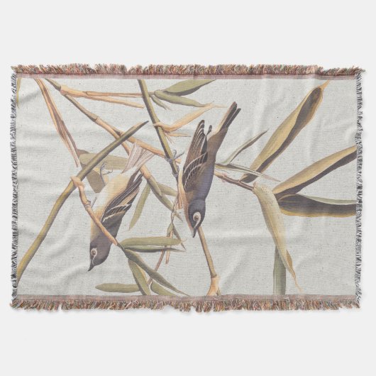 Couverture Oiseaux volants Vireo solitaire d'Audubon sur la c (Devant)