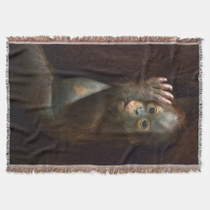 Couverture Orang-outan