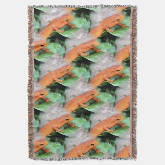 Couverture Orange Salamander Red Eft Nature Art Motif (devant Vertical)