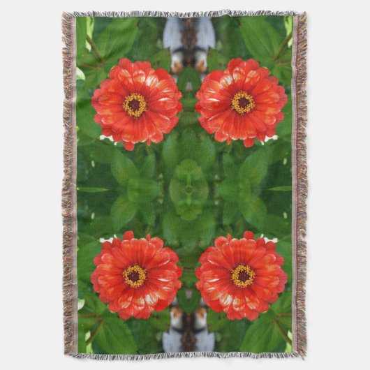 Couverture Orange Zinnia (devant Vertical)