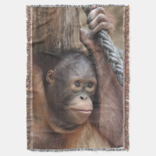 Couverture OrangUtan 002