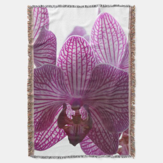 Couverture Orchid20160301 (devant Vertical)