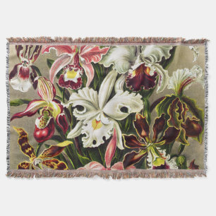 Couverture Orchidées, Orchidée Denusblumen Ernst Haeckel