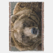 Couverture Ours Brown (devant Vertical)