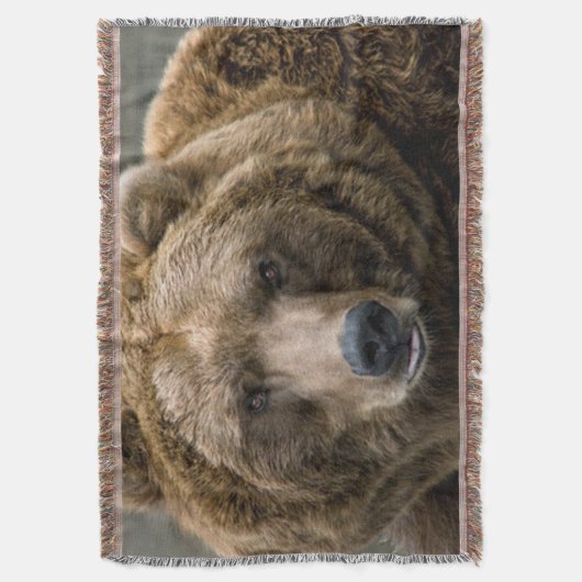 Couverture Ours Brown (devant Vertical)