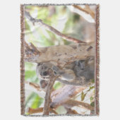 Couverture Ours De Koala Dans Un Arbre (devant Vertical)