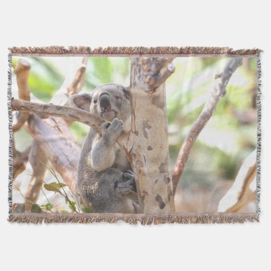 Couverture Ours De Koala Dans Un Arbre (Devant)