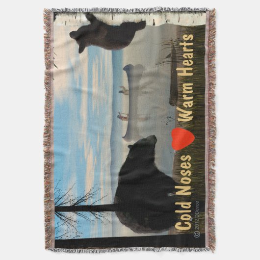 Couverture Ours de plage (devant Vertical)