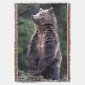 Couverture Ours gris debout (devant Vertical)