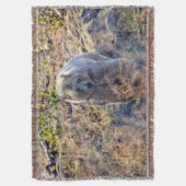 Couverture Ours Kermode Rare (Ours Esprit) Photo Faune (devant Vertical)