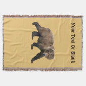 Couverture Ours kodiak (Devant)