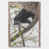 Couverture Ours noir Escalade (devant Vertical)