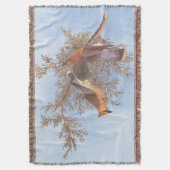 Couverture Paire d'oiseaux de cirage de cèdre d'Audubon sur À (devant Vertical)