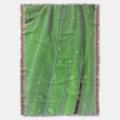Couverture Palmier de Noël et gouttes de pluie (devant Vertical)