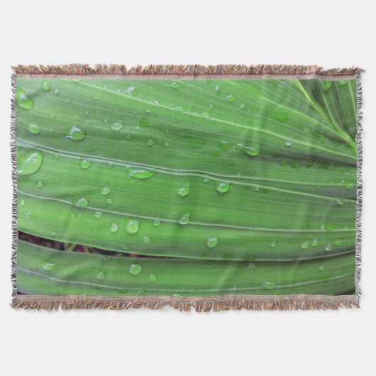 Couverture Palmier de Noël et gouttes de pluie (Devant)