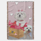 Couverture Panier maltais de l'amour (devant Vertical)