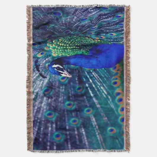 Couverture Paon bleu (devant Vertical)
