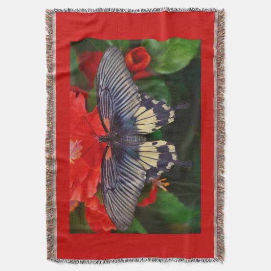 Couverture Papillon de beauté noire (devant Vertical)