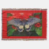 Couverture Papillon de beauté noire (Devant)