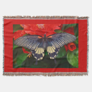 Couverture Papillon de beauté noire