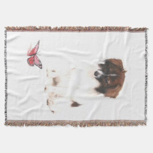 Couverture PAPILLON MAX et BUTTERFLY (Devant)