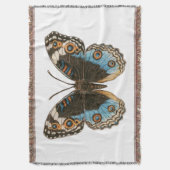 Couverture Papillon Pansy Bleu (devant Vertical)
