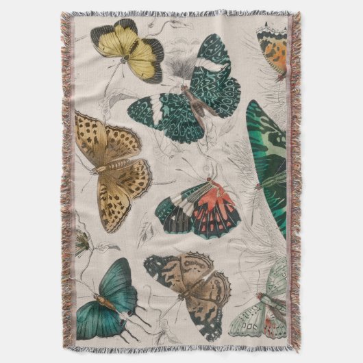 Couverture Papillons Collection Antique Papillons (devant Vertical)
