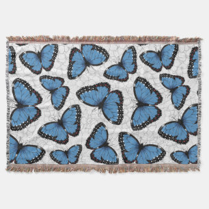 Couverture Papillons morpho bleu