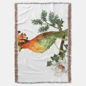 Couverture Paradise Birds : Exotic Floral Arrière - plan (devant Vertical)