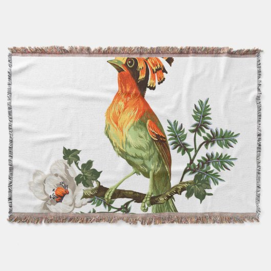Couverture Paradise Birds : Exotic Floral Arrière - plan (Devant)