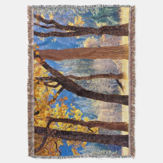 Couverture Parc national de Yosemite (devant Vertical)