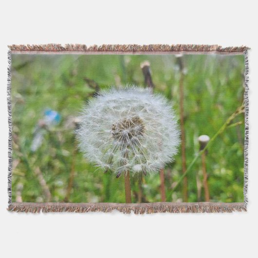 Couverture Parfaite Pissenlit – Photographie Macro Botanique (Devant)