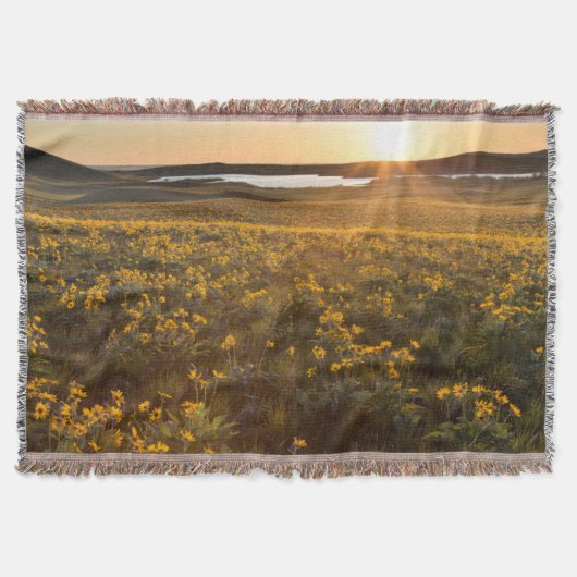 Couverture Parterre de fleurs sauvages de Balsamroot à feuill (Devant)