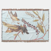 Couverture Paruline audubon, oiseau-chanteur de Worm-Eating (Devant)