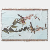 Couverture Paruline audubon ornithologique à châtaignes sur F (Devant)