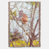 Couverture Patas est au sommet d'un arbre (devant Vertical)