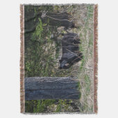 Couverture Pâturage Ours noir sauvage Photo Faune (devant Vertical)