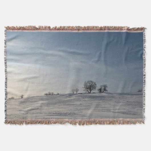 Couverture Paysage enneigé (Devant)