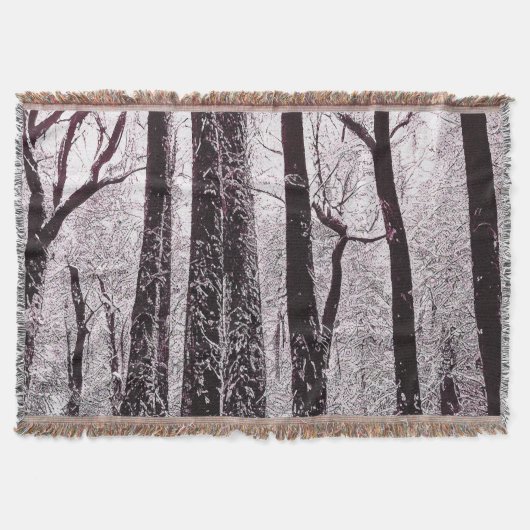COUVERTURE PAYSAGE HIVERNAL NEIGEUX DES BOIS FORESTIERS  (Devant)